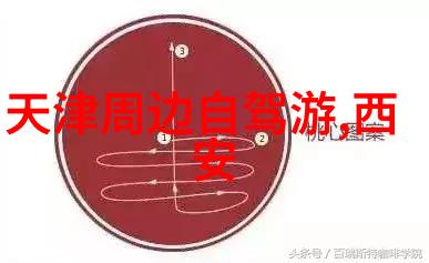 黑道女教师江湖中的学霸