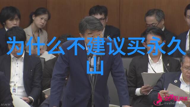 穿梭上海梦自由行探秘全方位指南