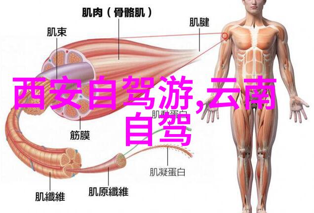 重庆之谜揭秘三大美食背后的故事