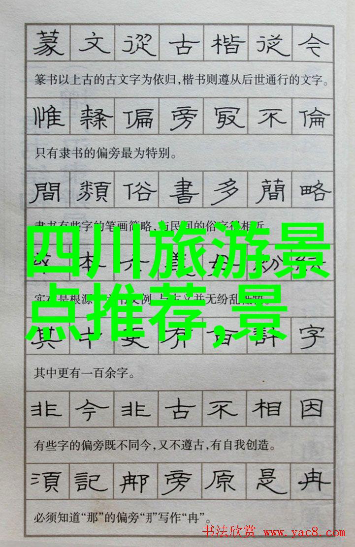 骑行人群特征深度探究骑行文化社会影响力健康生活方式