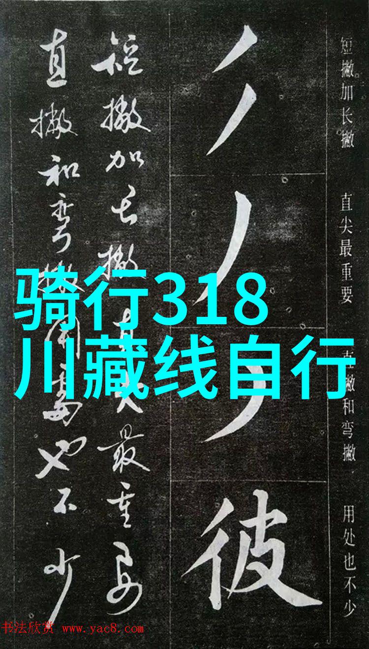 驾游新风尚探秘自驾游app排行榜前十强的秘密