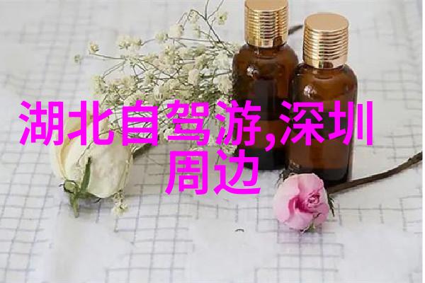 穿越之福来孕转 - 穿越时空的孕育福寿双全的奇遇