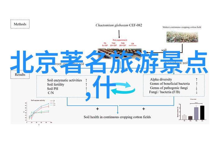 玉浦团电影完整玉浦团的精彩电影旅程