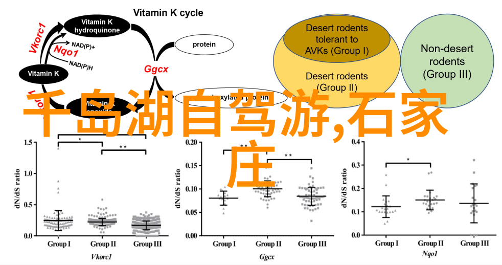 上海南京路美食探秘品味南京路的街头小吃