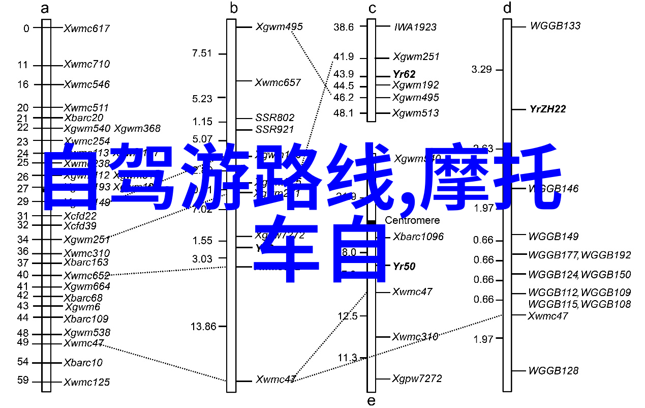 上海日结城市的数字脚印