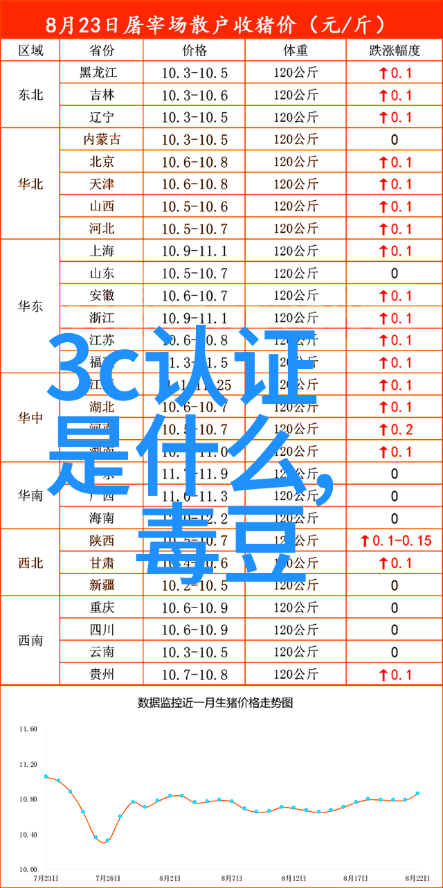 10人左右团建小游戏室外我们一起笑声连连的野餐大冒险