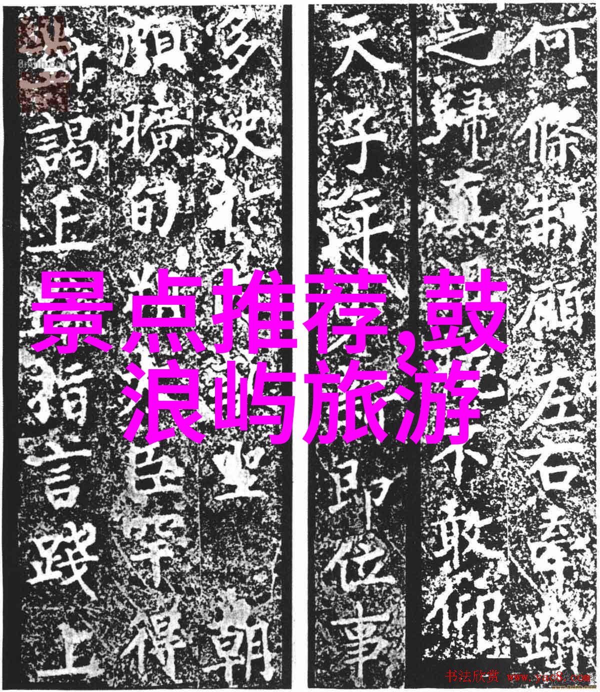 永川野生动物园提供什么样的教育讲座和活动