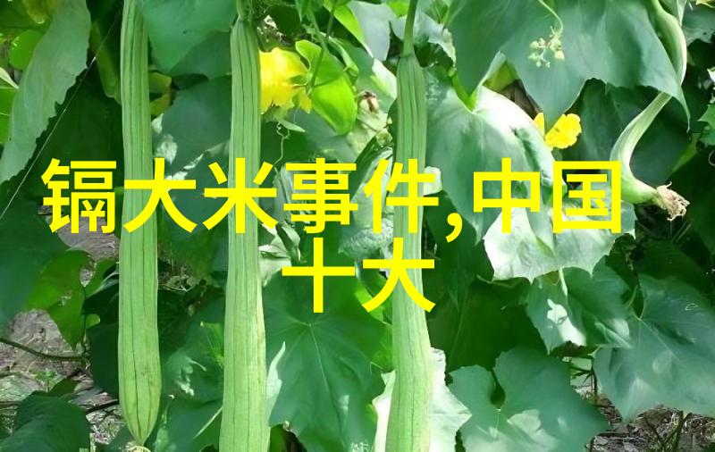 游记作文400字左右四年级下册我的第一趟山村探险