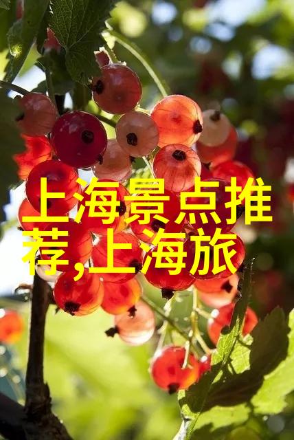 安全第一如何规划一个无忧的自驾出行计划