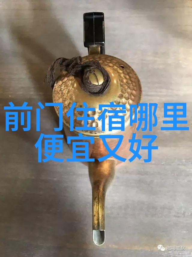 绽放的雪花探索梦幻之地的温柔步伐