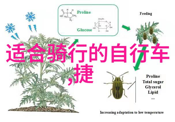 主题-五月的绿意盎然探索国内最佳旅游地