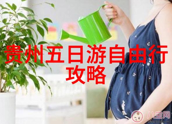 关于骑行的唯美句子我的心在风中飞翔