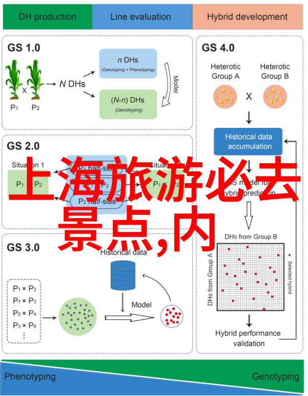 云南旅游景点线路图数据驱动的最佳游览路径