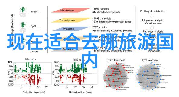 光荣岁月的重现回顾过去与展望未来在2023年的公路汽车运动中