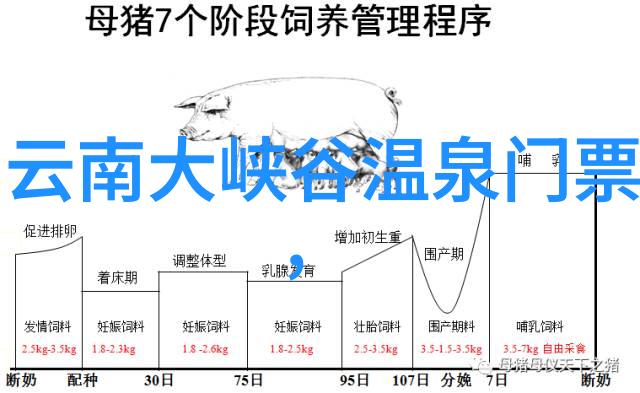 游记作文大全杭州秋天的美丽之旅