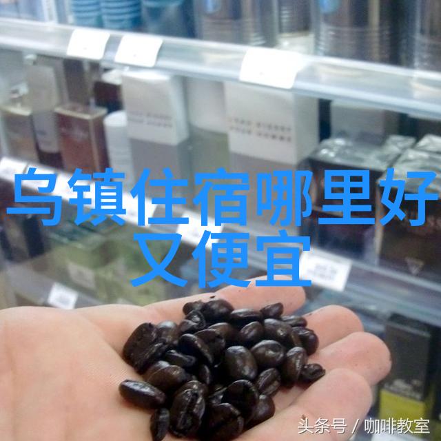 探秘沪外上海周边自驾游指南