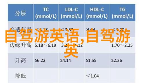 探索未知海外旅行社如何助您开启世界之旅的篇章