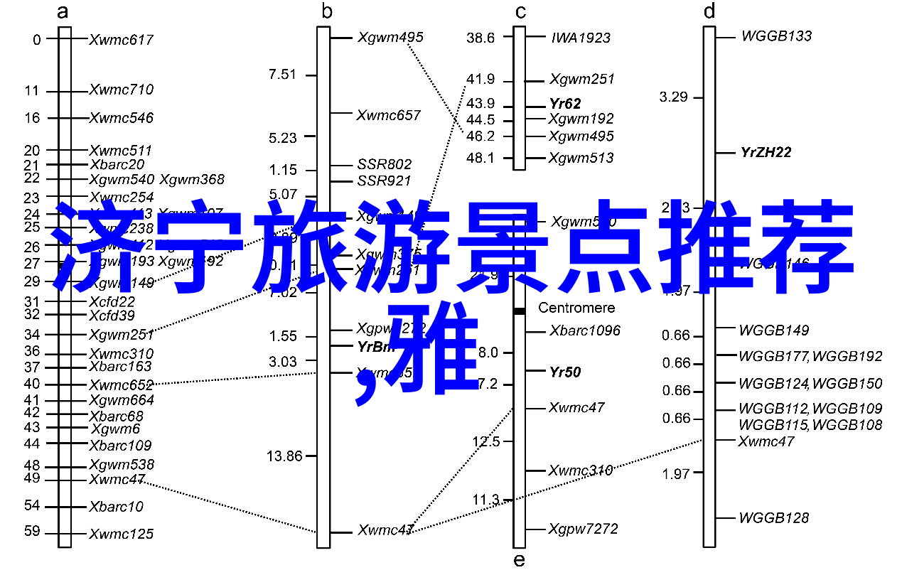 黄山自驾游指南探索翠峦奇峰的不一样旅行体验