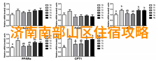 征途启程游记优美开头摘抄大全