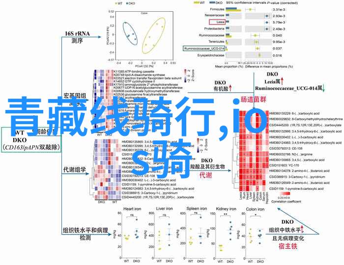 青春环游记第三季解读青年旅行叙事中的文化自觉与全球视野