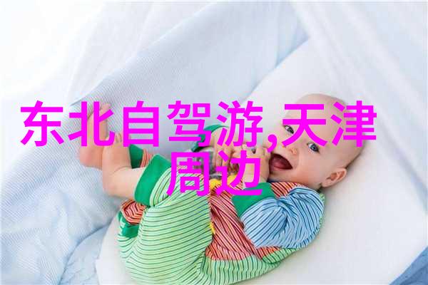 户外乐趣大冒险团队协作的奇妙征程