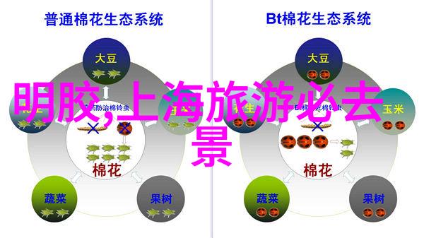 厦门美食一日游探索小琼崖的海鲜盛宴与悠闲角落