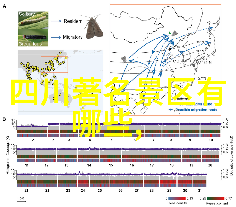 哪些在地零食适合带回家与朋友分享