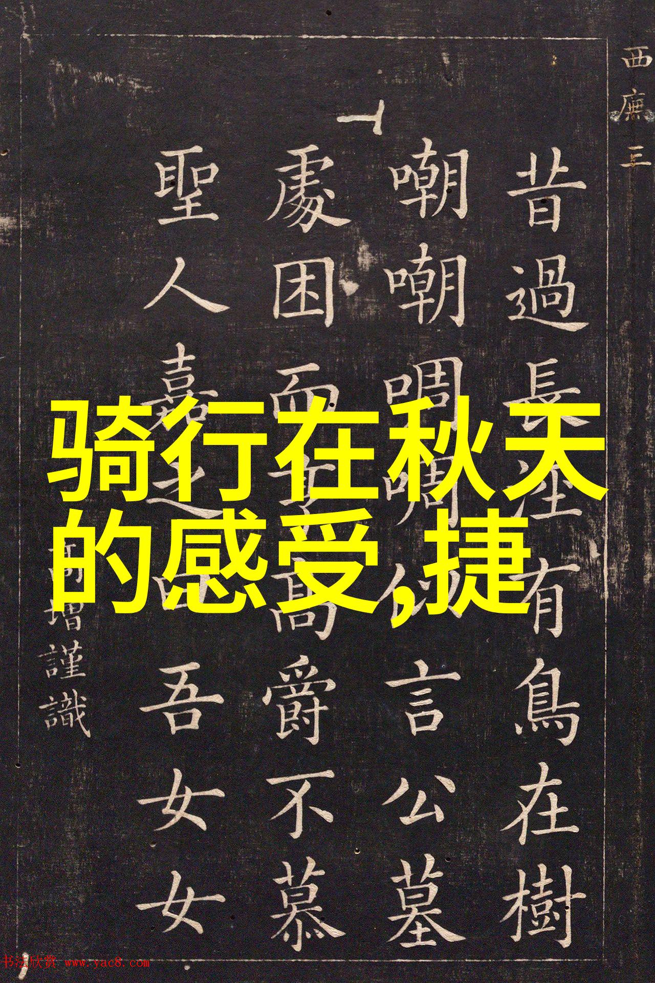 文化遗产探访指南深入了解嵊泗的历史与传统艺术