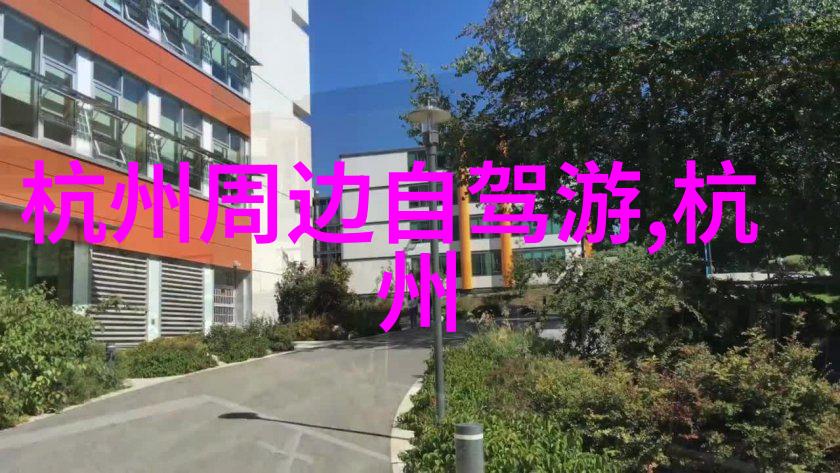 初学者攻略入门公路车推荐指南