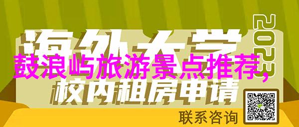 骑行共享探索自行车论坛的魅力与潜力