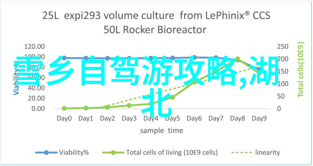 云南宝石纹理揭秘古老的商路与现代旅行线路