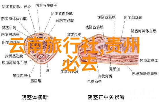 成都美食之旅品味四川特色路线攻略