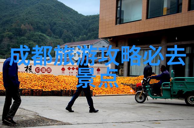 深圳自驾游 - 深圳之窗探秘粤港澳大湾区的美丽角落