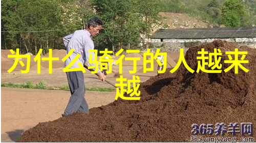 泰山它代表了什么力量和象征该象征源自哪个城市的特定文化实践呢