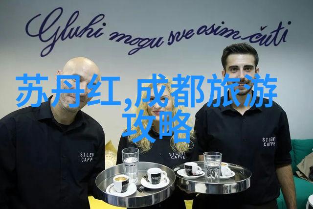 云端美食探秘揭秘云霄十大小吃背后的故事与风味