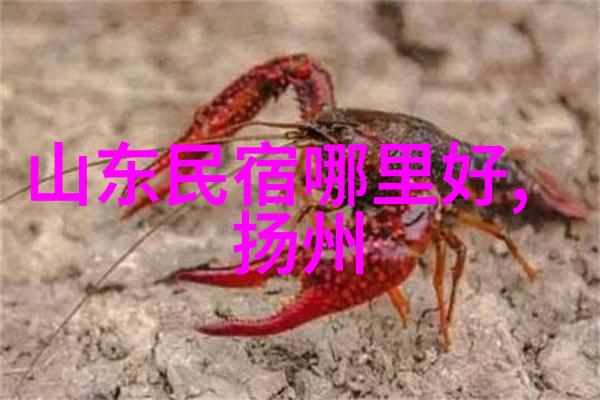 骑行速度追求一小时20公里的快慢之谜探究