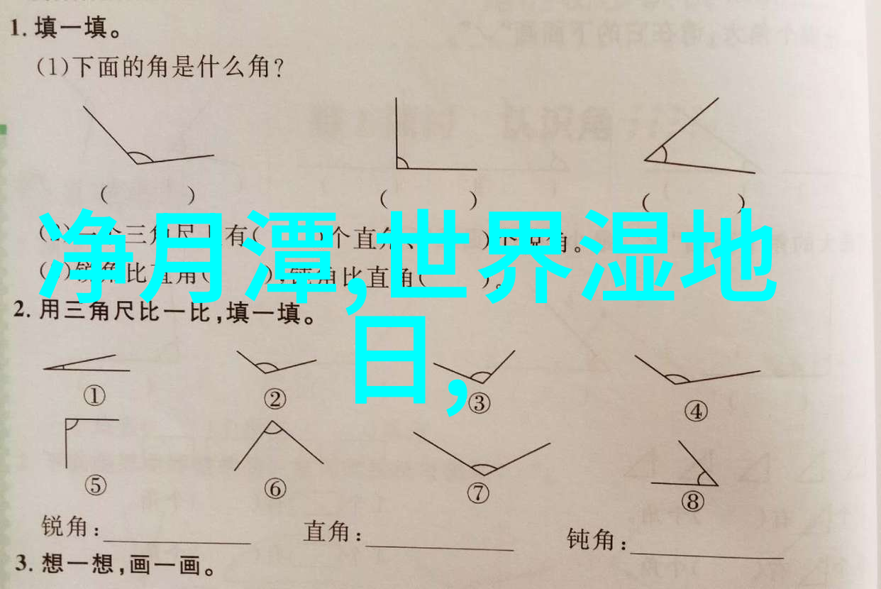 探寻骑行人群的独特面貌