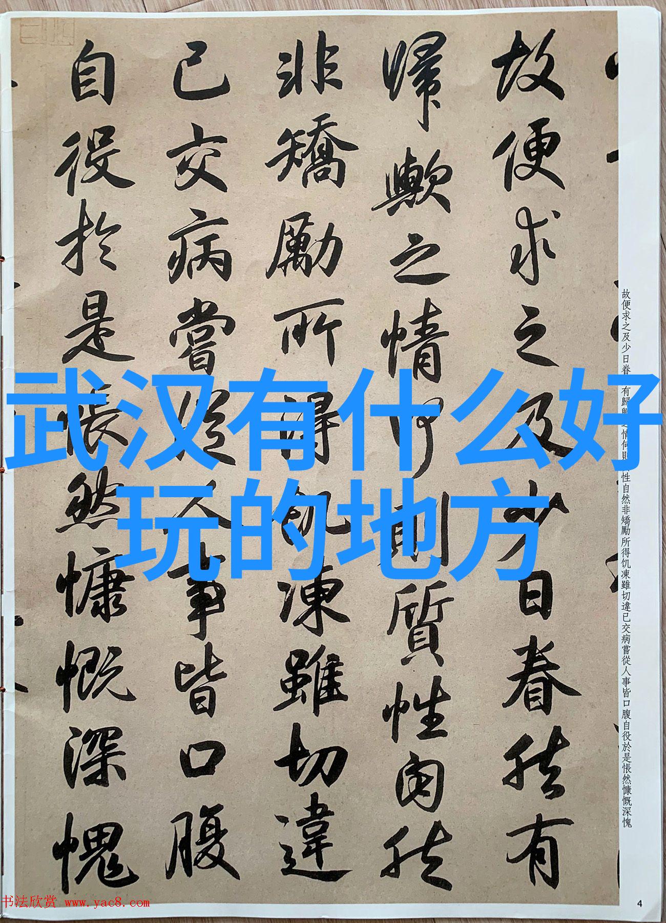 背包与笔墨 初二生首次独立写作的800字游记