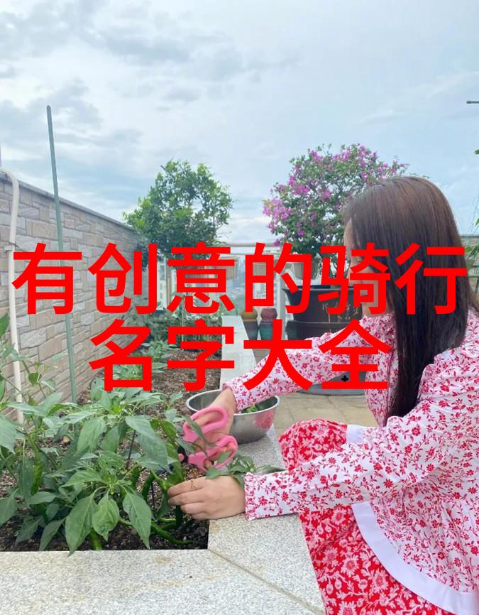 旅游线路规划app-探索未知如何利用旅行应用优化你的度假计划