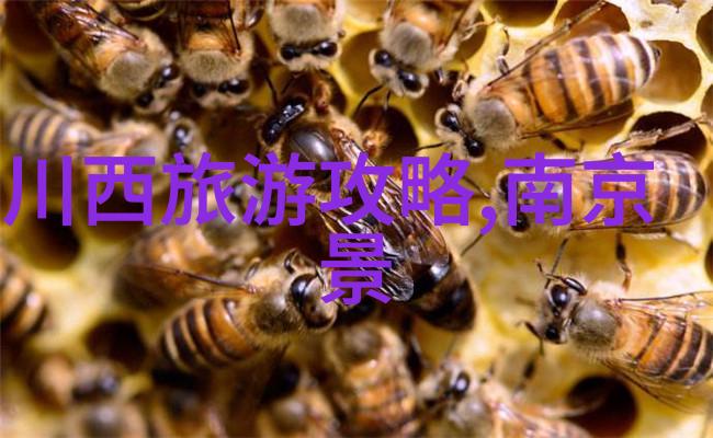 2020年旅游业数据分析报告揭秘九峰山隐匿在云端的奇迹之地