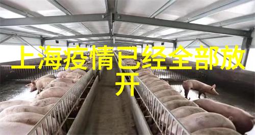 重庆自然之旅住金沙城中心游大三巴威尼斯美食指南与交通便利策略