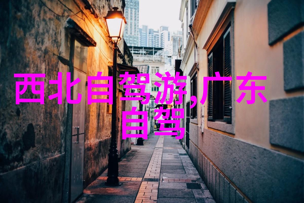 小普陀上海历史建筑的守护者与见证者