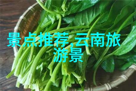 绘花游记踏翠寻香赏析百花之美