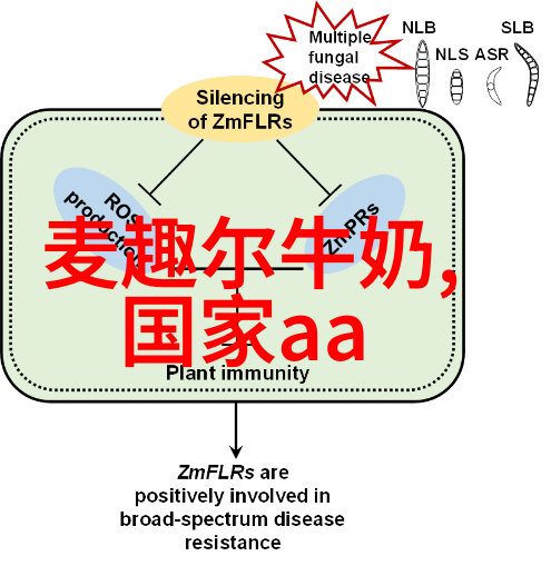 泰山之谜揭秘那座被遗忘的神山