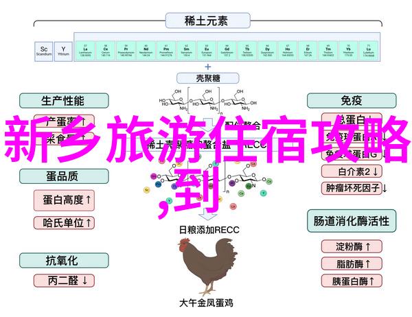 九宫格的智慧探索数字9在文化中的独特象征意义