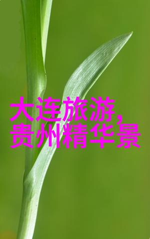 斗罗大陆PS比比东乳液视频-跨越虚拟与现实的美丽探索斗罗大陆中的PS技巧与东方乳液视频的比较