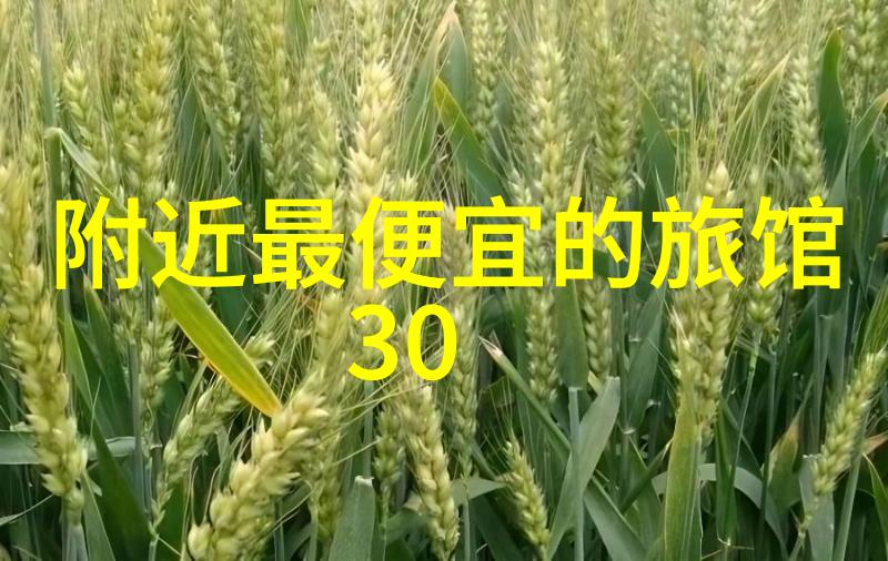 儿童户外游戏-探索乐园50个激发想象力的户外游戏