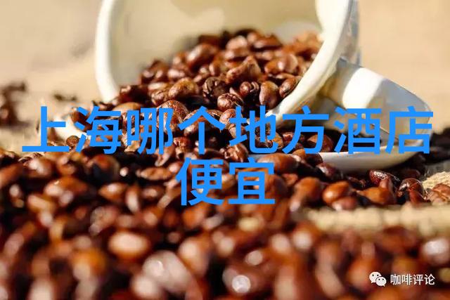 川味探秘揭秘成都美食的无穷魅力