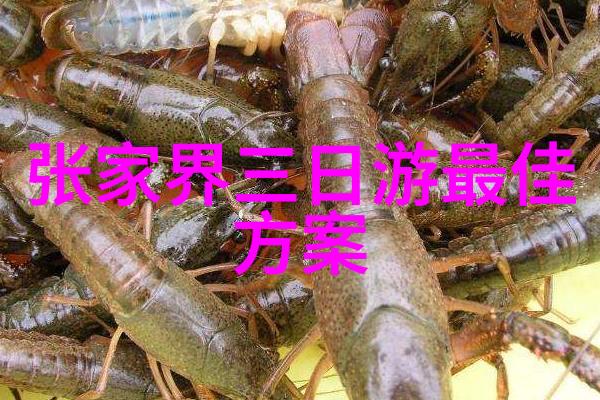 秦风飘渺西安周边的秘密角落