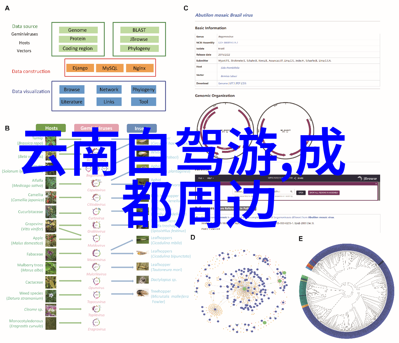 国庆之际探秘中国美丽风景最受欢迎的旅游景点推荐